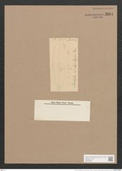 Frustulia rhomboides (Ehr.) De-Toni (de-Toni-Nr.: Genus 19, Species 1159) Zeichnungen Sammlung Grunow Nr. 2254 (NHMW-BOT-W0369357)
